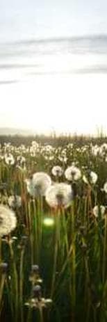Rustic Cotton Table thumbnail 1